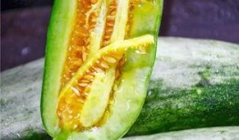 网红吃瓜群群名,揭秘娱乐圈幕后风云